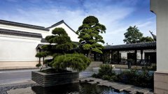 庭院設(shè)計主題:中式景觀庭院設(shè)計應(yīng)遵循哪些原則